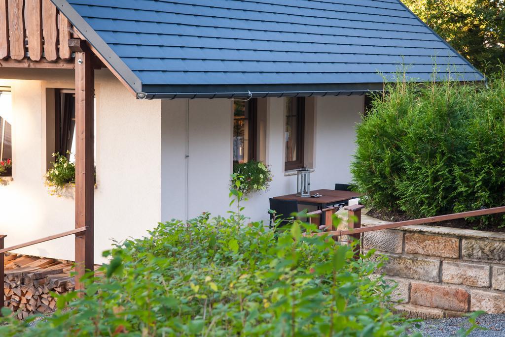 Apartmán Haus Waldfrieden Altenberg  Exteriér fotografie