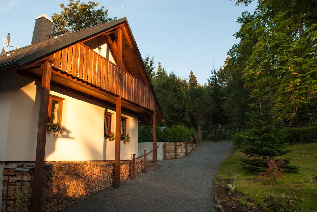 Apartmán Haus Waldfrieden Altenberg  Exteriér fotografie