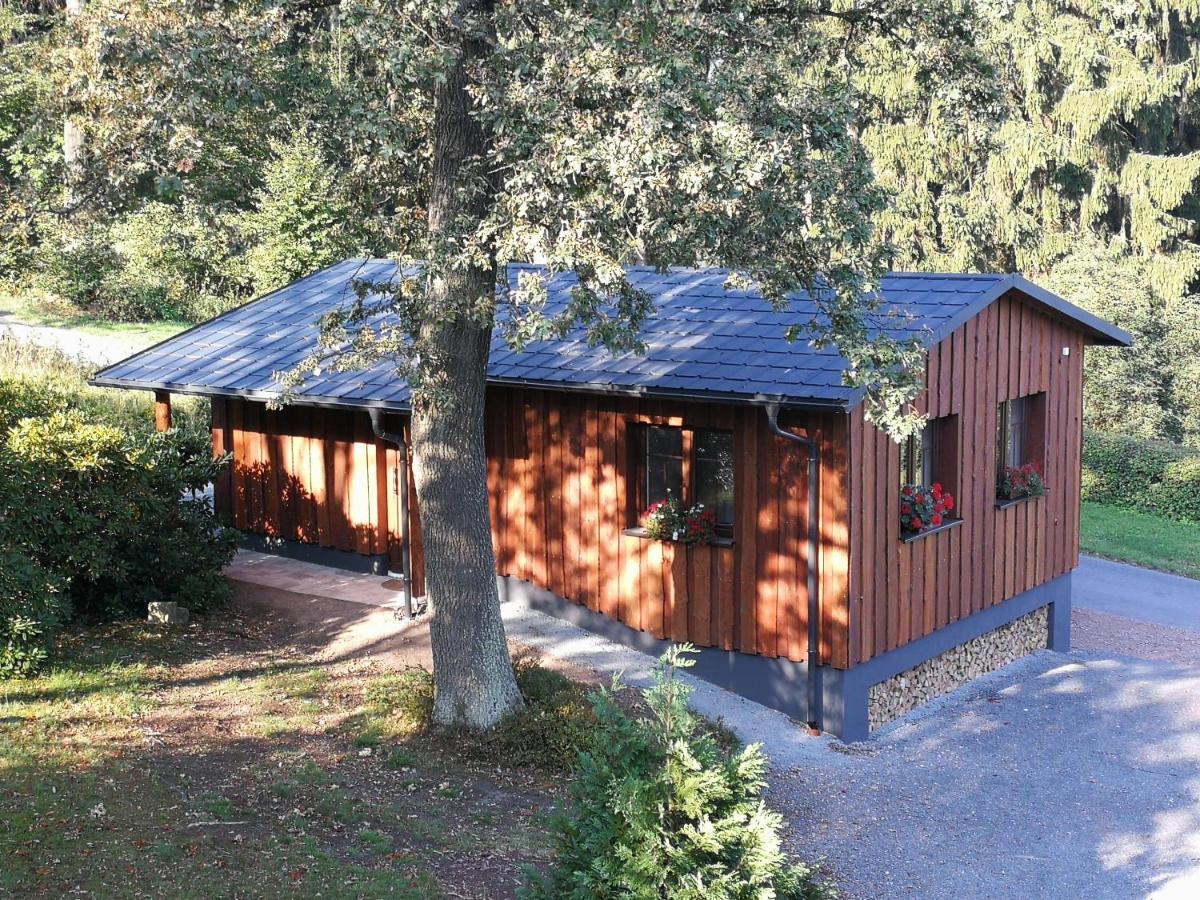 Apartmán Haus Waldfrieden Altenberg  Exteriér fotografie