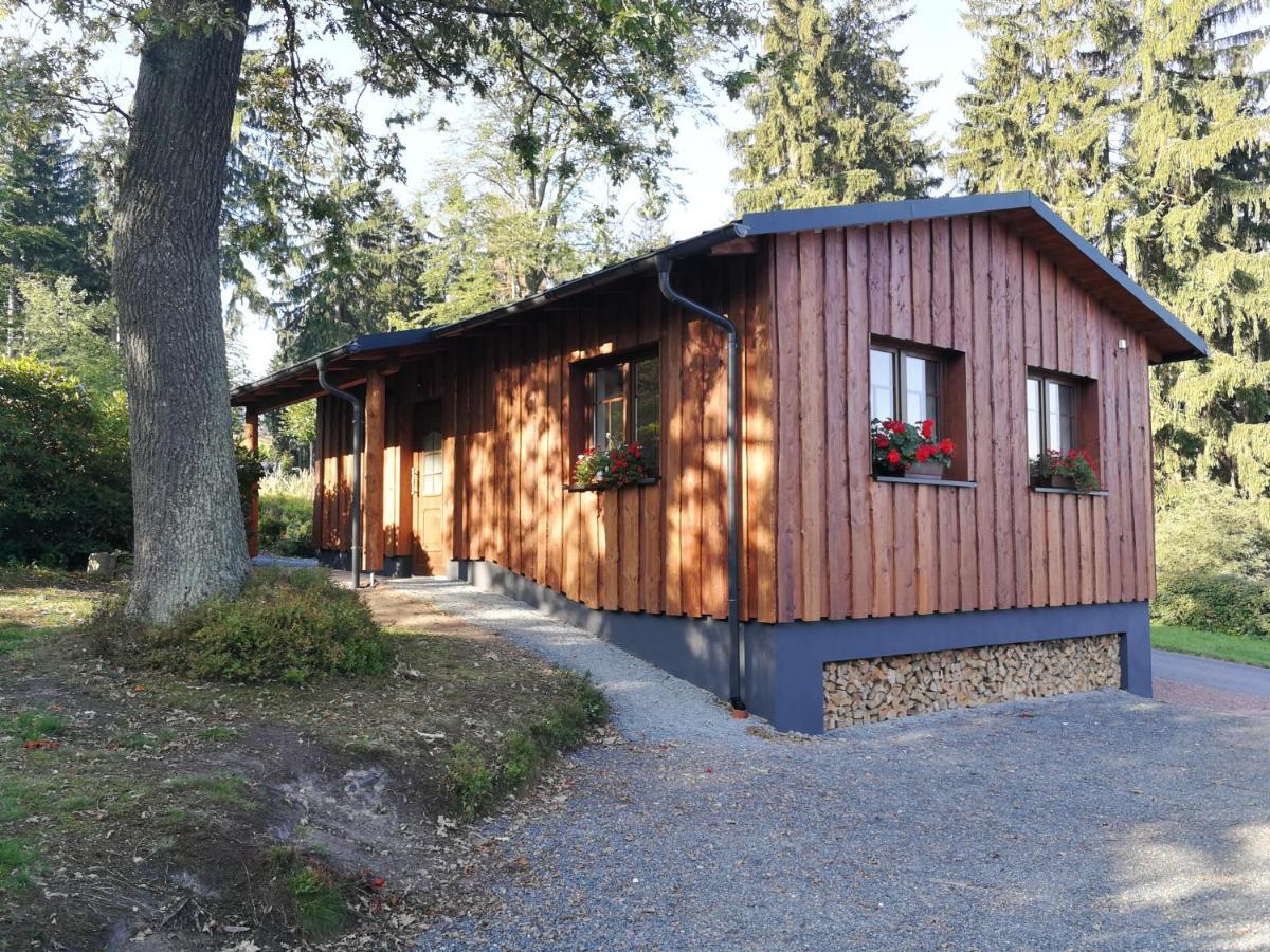 Apartmán Haus Waldfrieden Altenberg  Exteriér fotografie